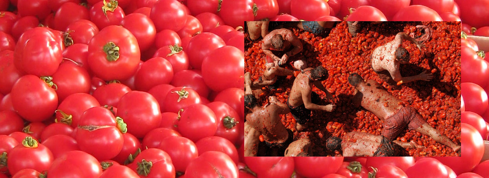 La tomatina Spain