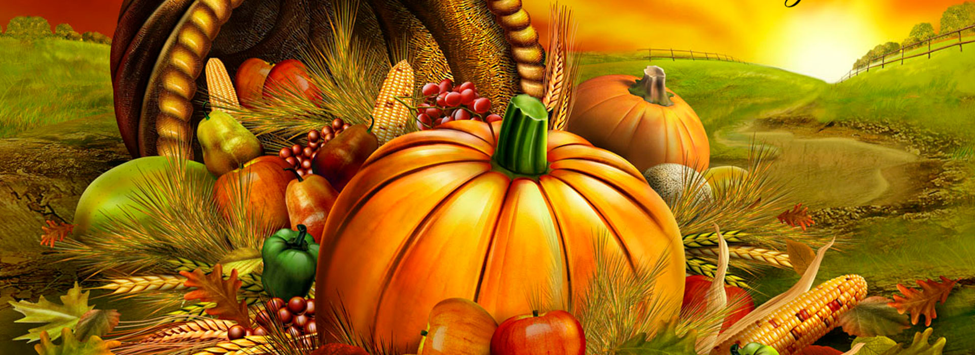 Thanksgiving Black Friday 2014